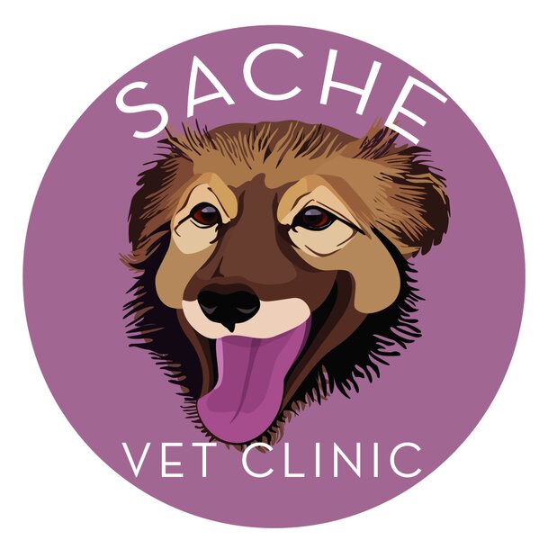 Sache Vet Clinic - Clinica veterinara